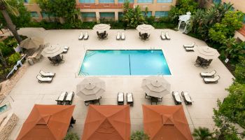 An aerial view of a hotel pool area with a rectangular blue pool, numerous lounge chairs, umbrellas, and surrounding greenery and buildings.