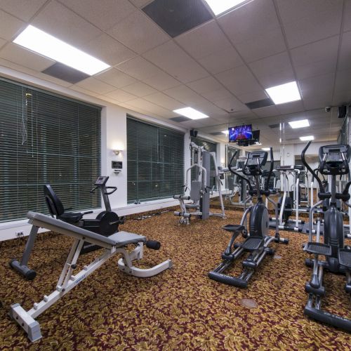 A gym scene with treadmills, ellipticals, and weight machines arranged in a spacious room, large windows, and patterned carpet, ready for workouts.